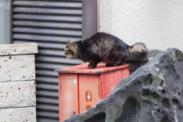 更に前のめりタッチー