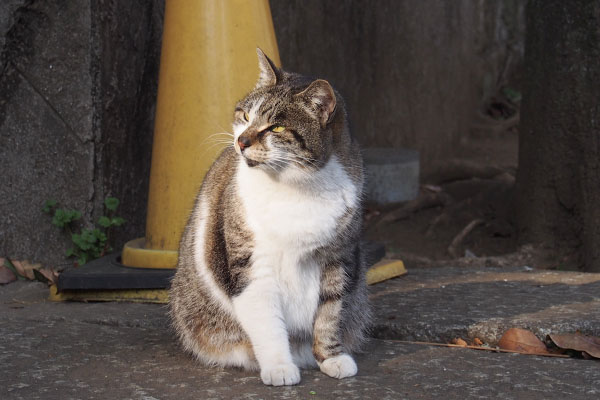 雫　悪だくみ中