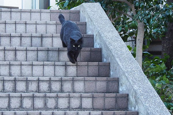 階段を下りるメイラ