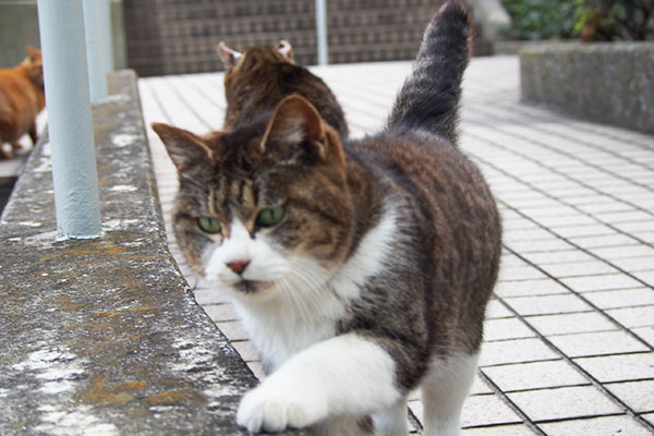 左上にアン　マリィ超接近