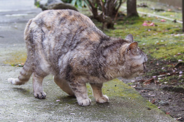 右を見る　銀