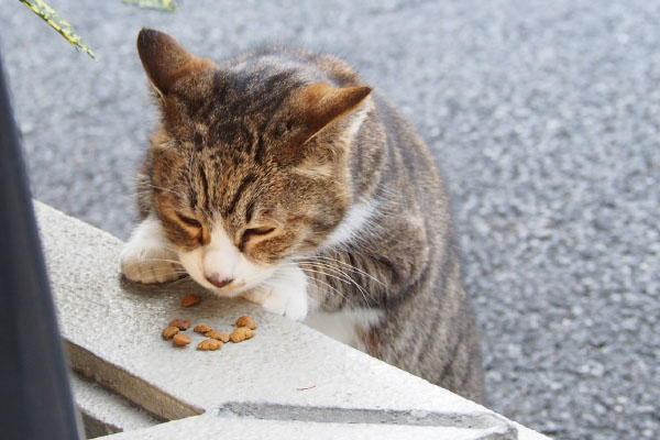 立って食べてるサーヤ