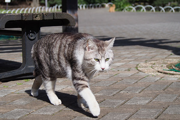 近くにクロム　遠くにアン