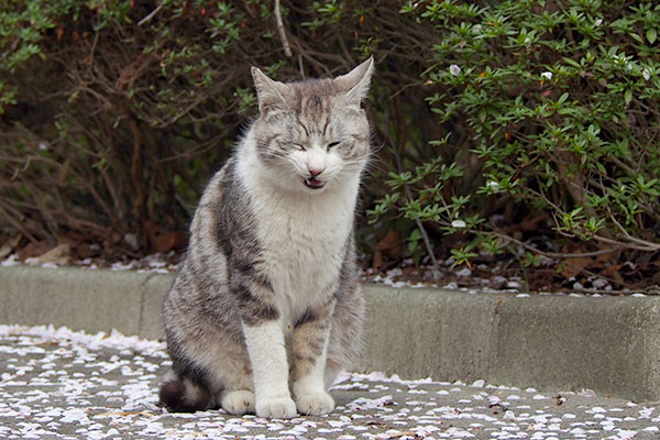 クロム　変な顔の瞬間