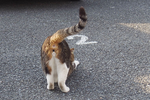 駐にゃ前のお祈り