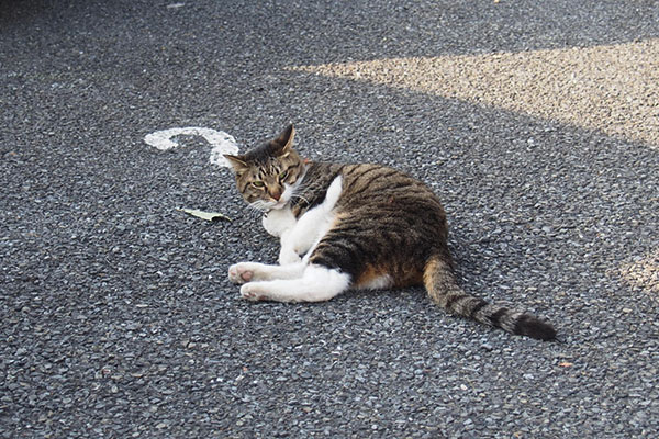 ここはボクの場所