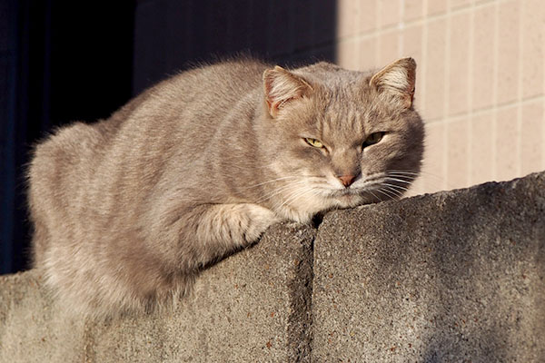 開眼　グリ