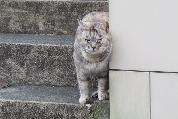 見ている銀