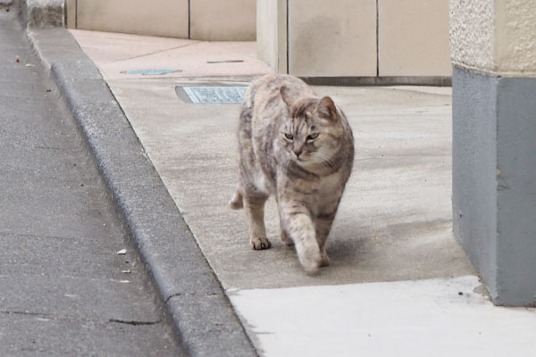 優しいシャチョさんみっけ　銀