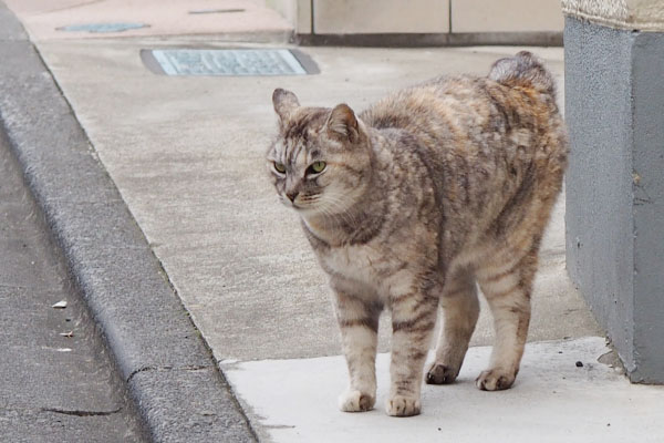 モードが切り替わる銀