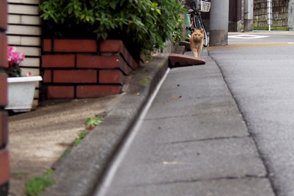 ジル　戻って来ている