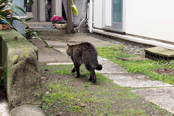 キー坊ソラちゃんちへ