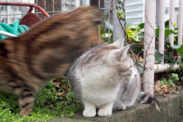 クロムを飛び越えるぐるぐる模様