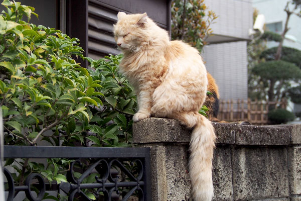 ナリコマ君　後ろにオトワ