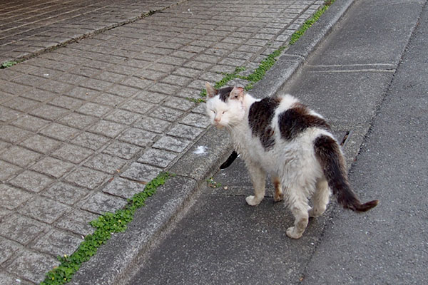 着地　お地蔵さまスマイルのテル