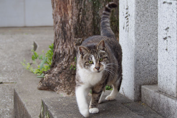 降りて来た雫