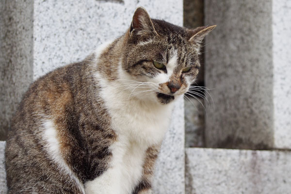 溜息をつく　雫