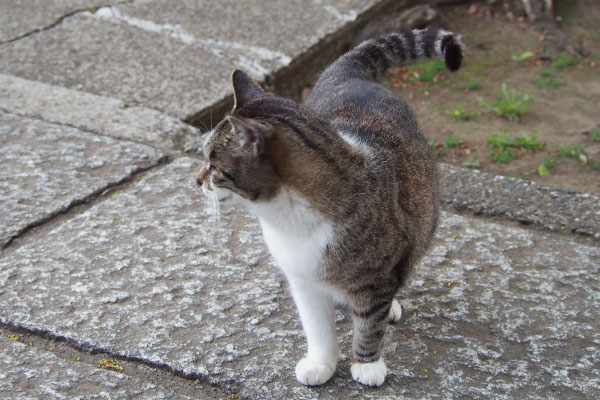 立ち止まる雫