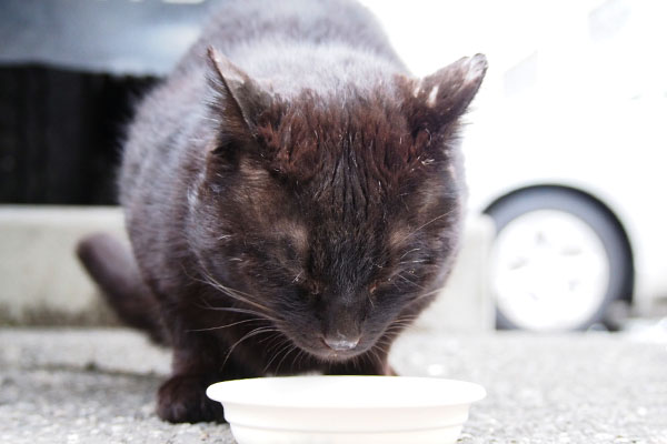 ゆっくり食べる　ティア