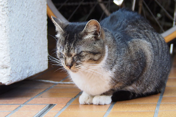 お水はいい　ゆう君