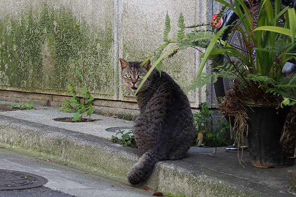 振り返る　タビッツ