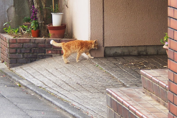 参加するジル