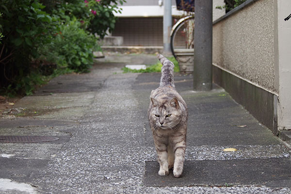 銀が出て来る