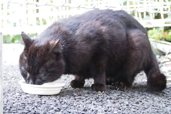 食べるティア　右から