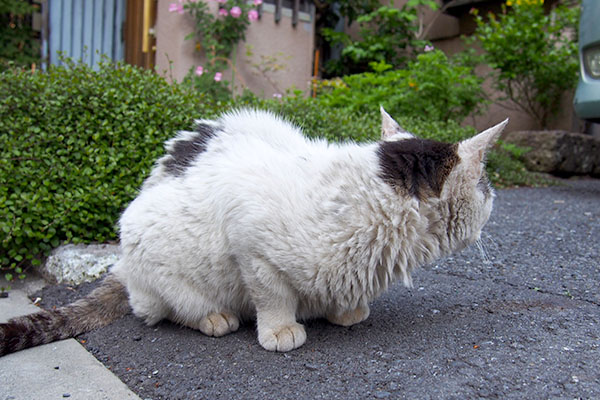 周りを確認　テン