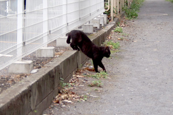 ティアが来る