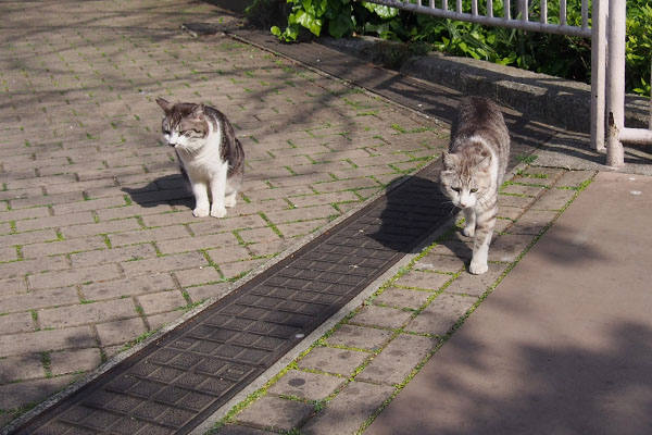 クロムとタンタル