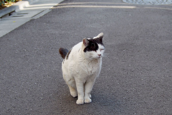 ちまっとお座りする坊