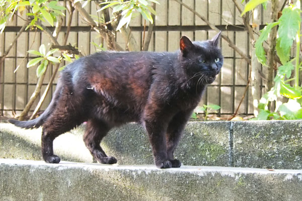 アカシ　タビッツに気が付く