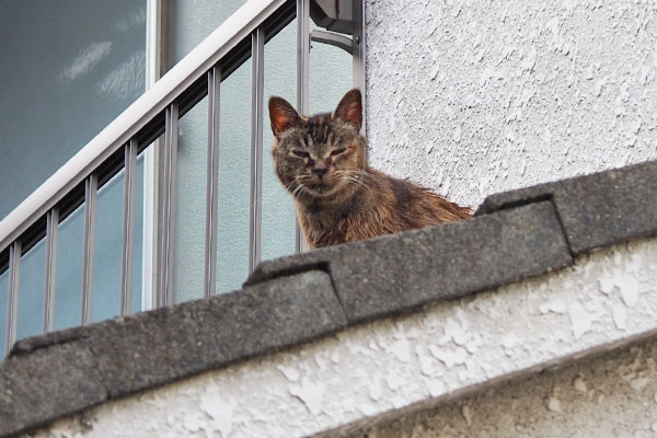 ルル　首を伸ばして