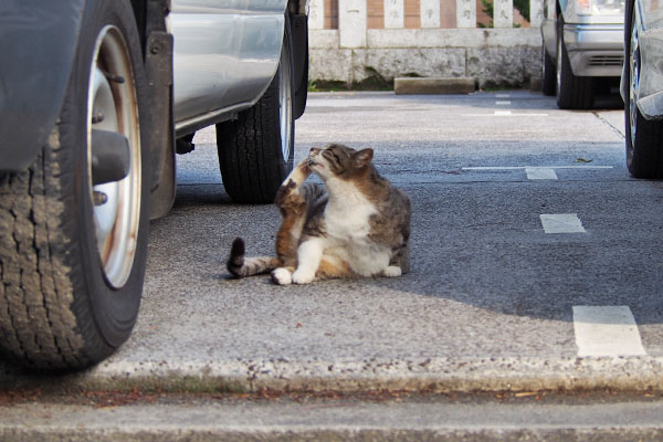 車の横でカキカキ　雫