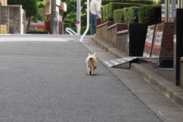 移動する　ジュリ君