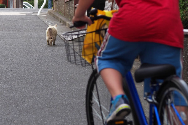 少年がジュリを発見した