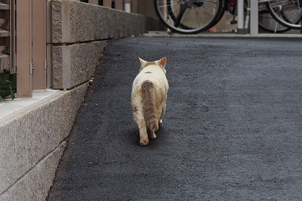 行ってしまう　ジュリ