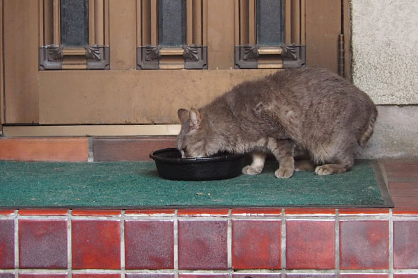 食事中のシピ