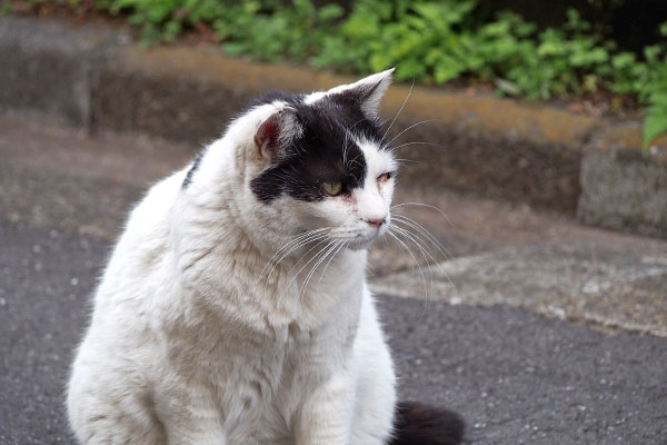 坊のふくよかなボディ