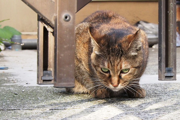 食べ終わる　あき