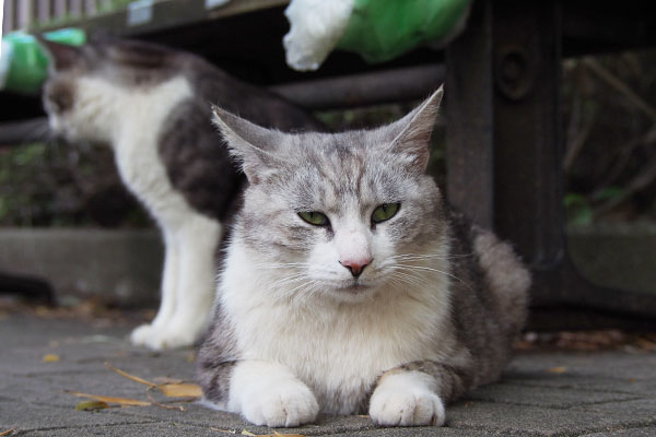 クロム　不機嫌になり始める