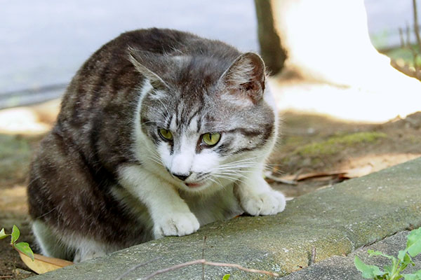 タンタル　オヤツ１回め