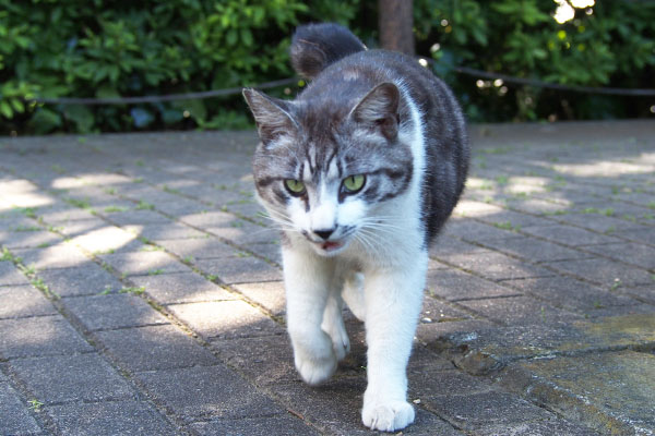 タンタル　もっとおくれと接近