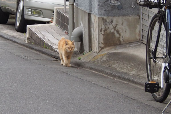 坂を上がってきたジル