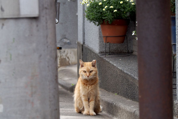 ジル　お隣りの前で立ち止まる