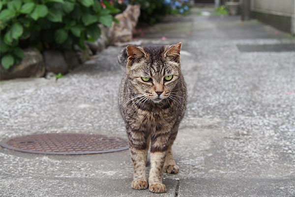 見送り　タビッツ