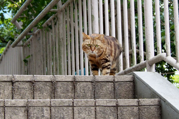 階段上に移動した　クラタン