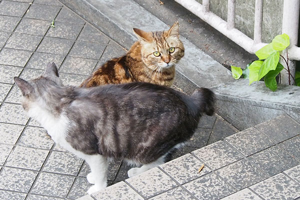 撮るヒトを見るクラタン