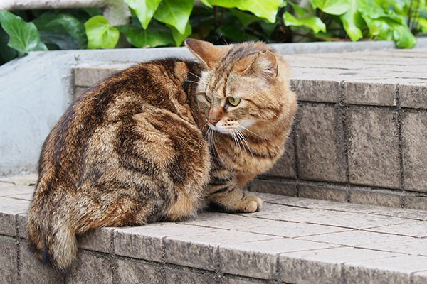 行ったか　クラタン振り返る